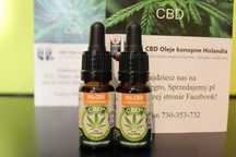Jacob Hooy CBD Olejek 5% (10ml) Oryginalny