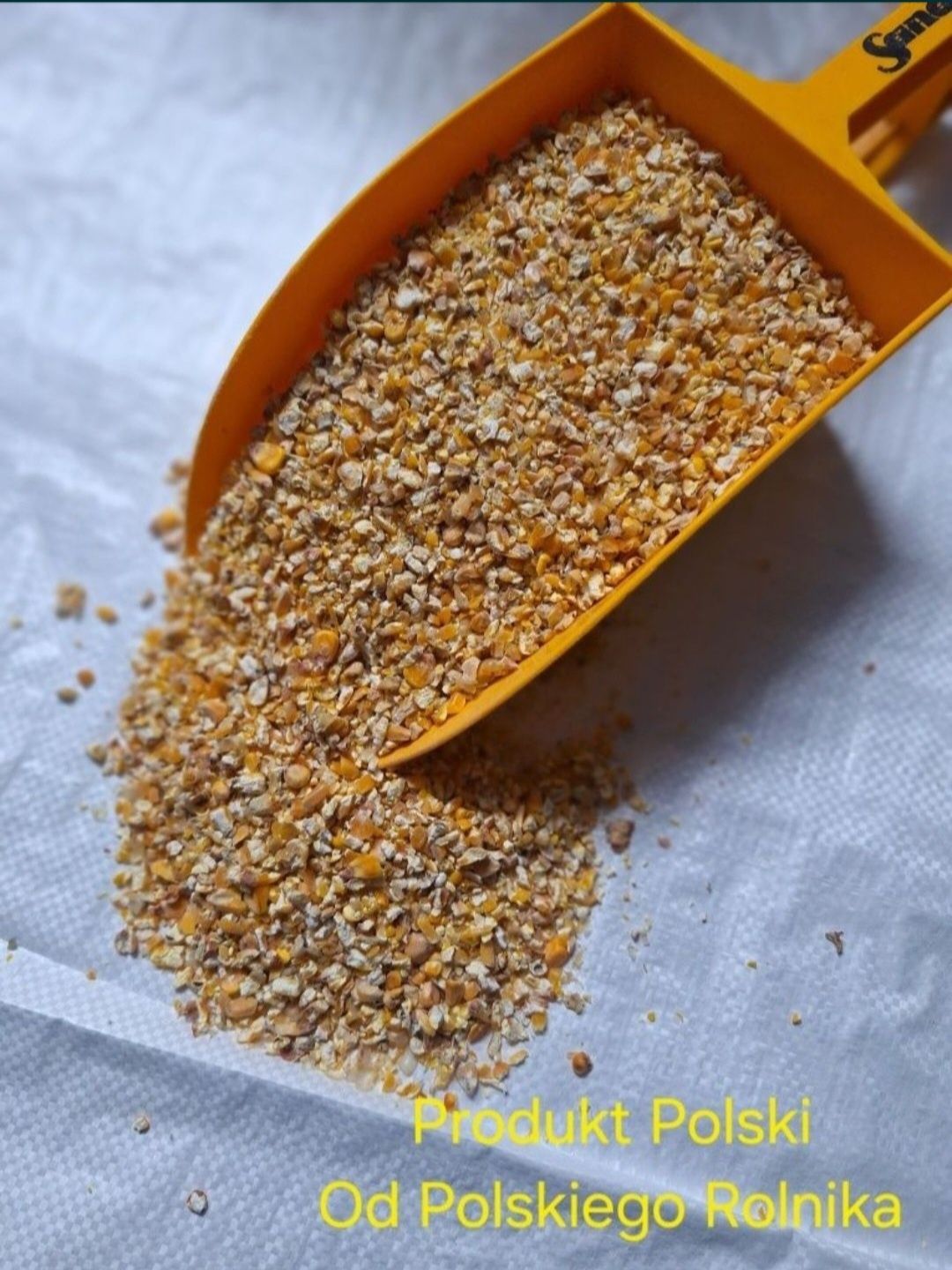 Kukurydza Gnieciona25kg Dla Kur Niosek 25kg BEZ GMO