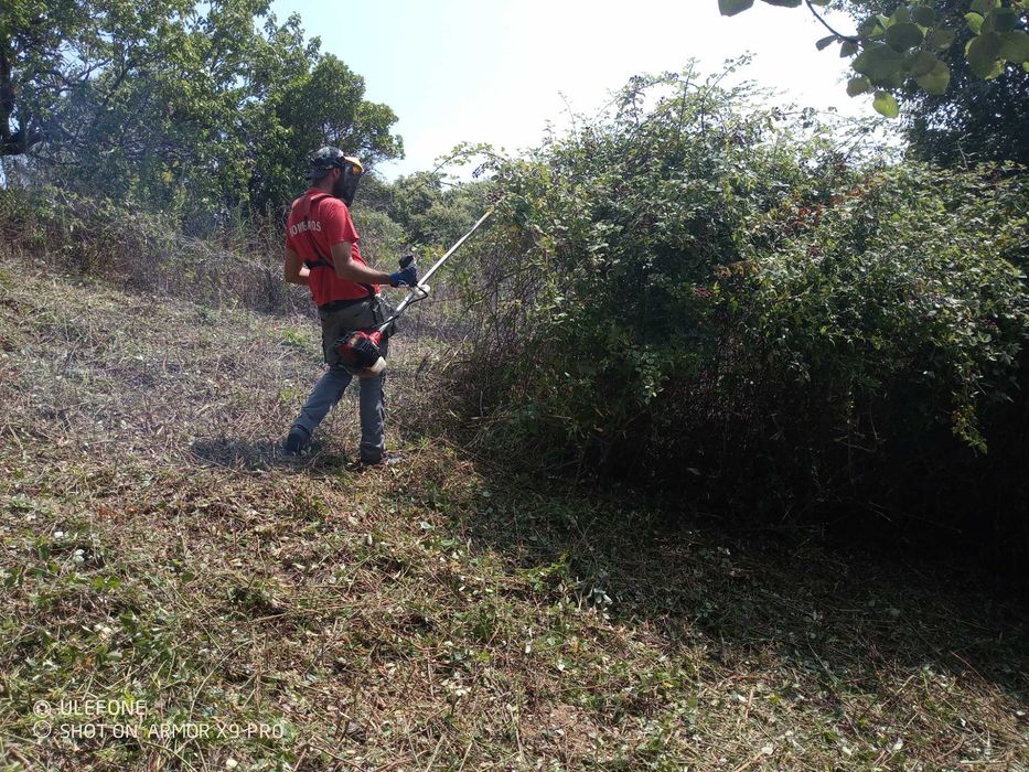 Manutenção de terrenos, corte/poda árvores