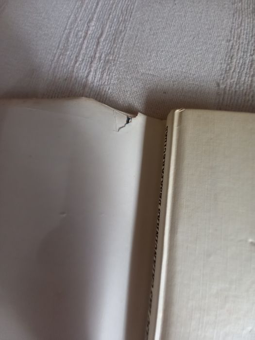 Luiz Pacheco O Caso das Criancinhas Desaparecidas