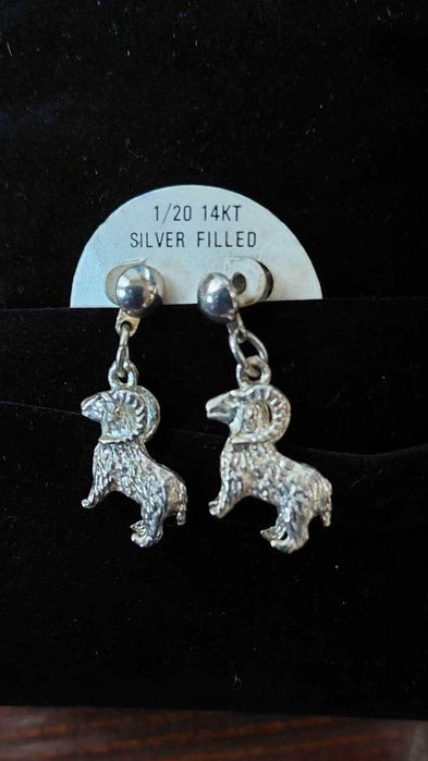 Оригінальні сережки