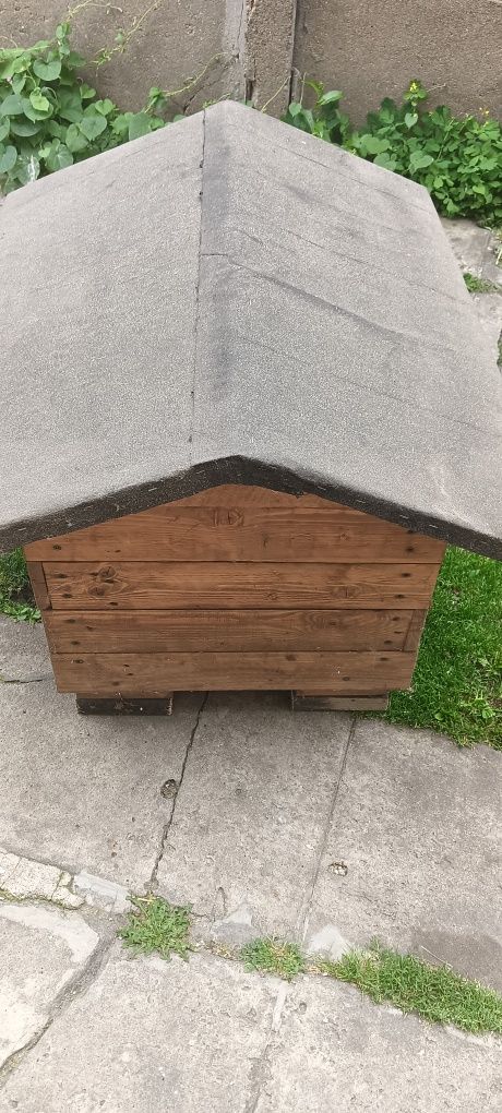 Buda dla małego psa