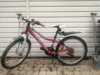 Rower typu cross 24 cale
