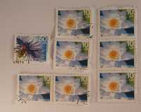 Zestaw 8 znaczków pocztowych polskich chaber grzybienie
