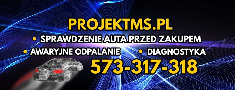 Sprawdzenie pomoc przed zakupem samochodu/diagnostyka/miernik lakieru