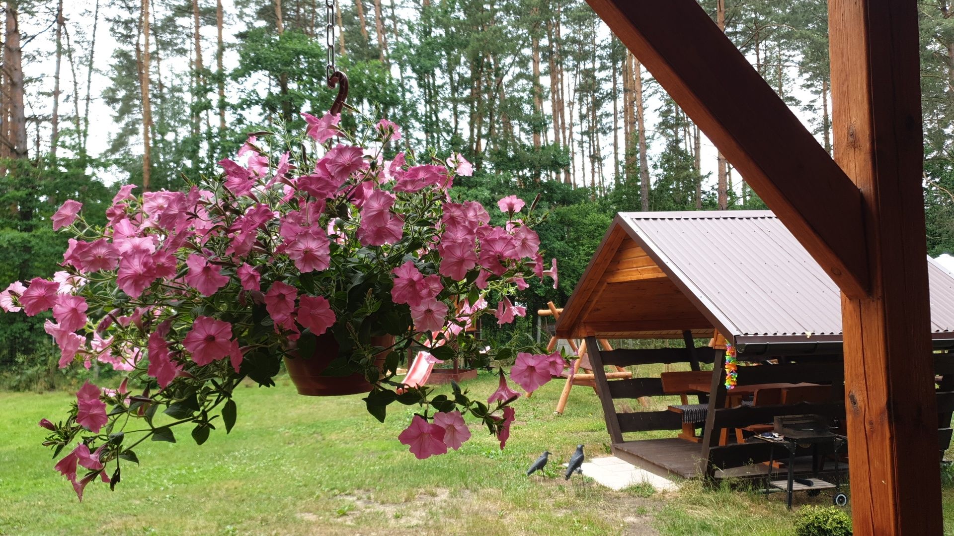 Urokliwy domek dla 2-4os. - Wypoczynek w lesie, jacuzzi balia