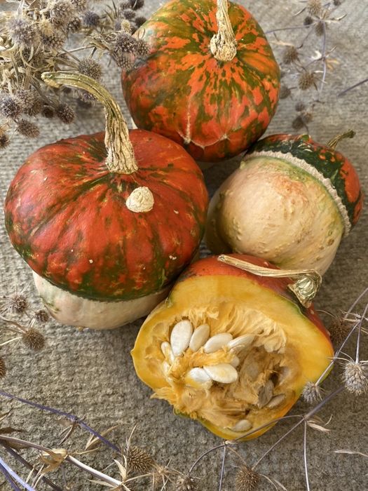 Семена тыкв гарбузів Baby Boo, Tiger Stripes, Sweet Dumpling, Тюрбан