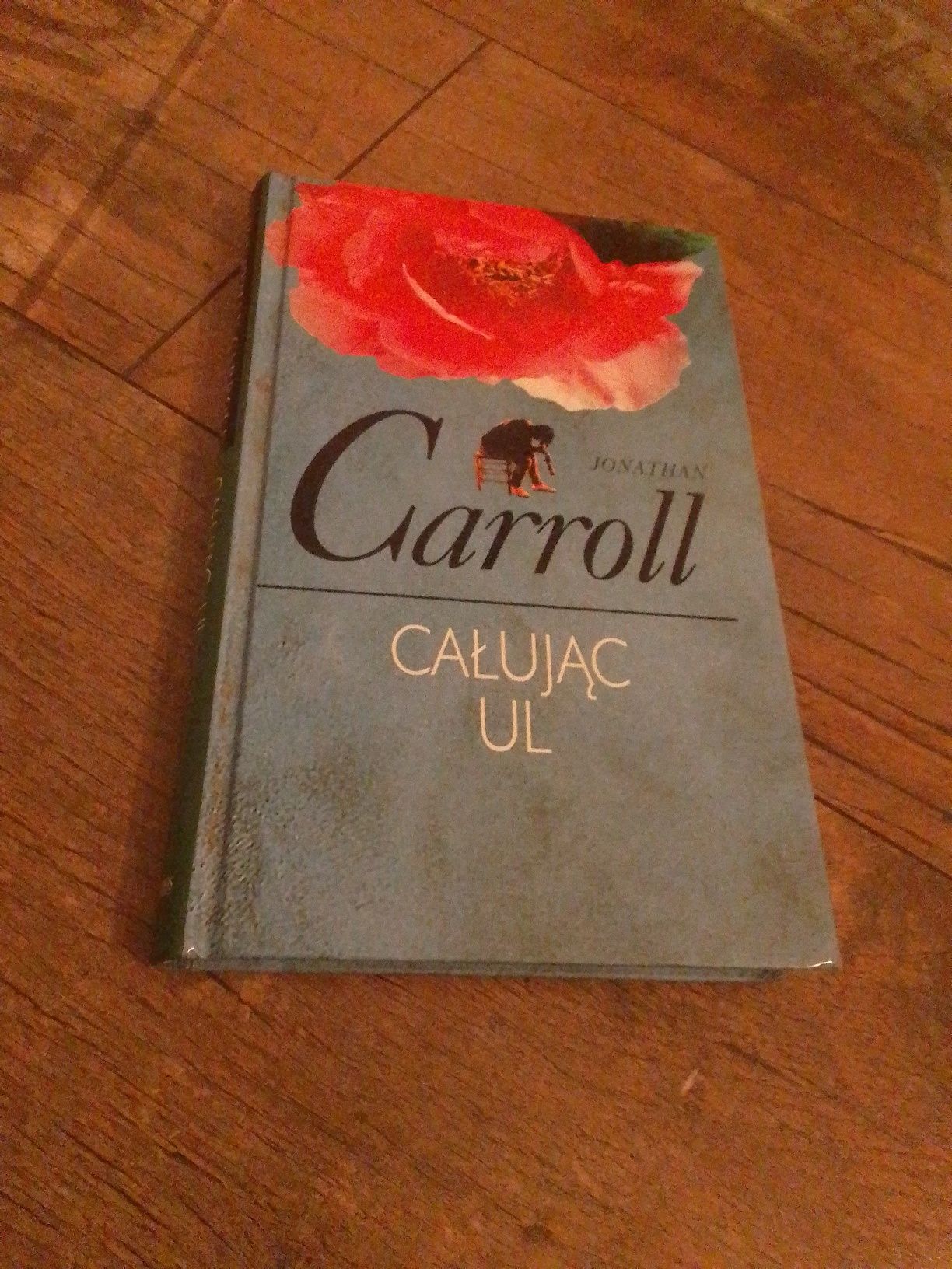 Jonathan Carroll Całując ul