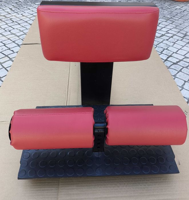 Sissy Squat Fitness e Musculação