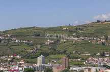 Moradia T8, Peso da Régua