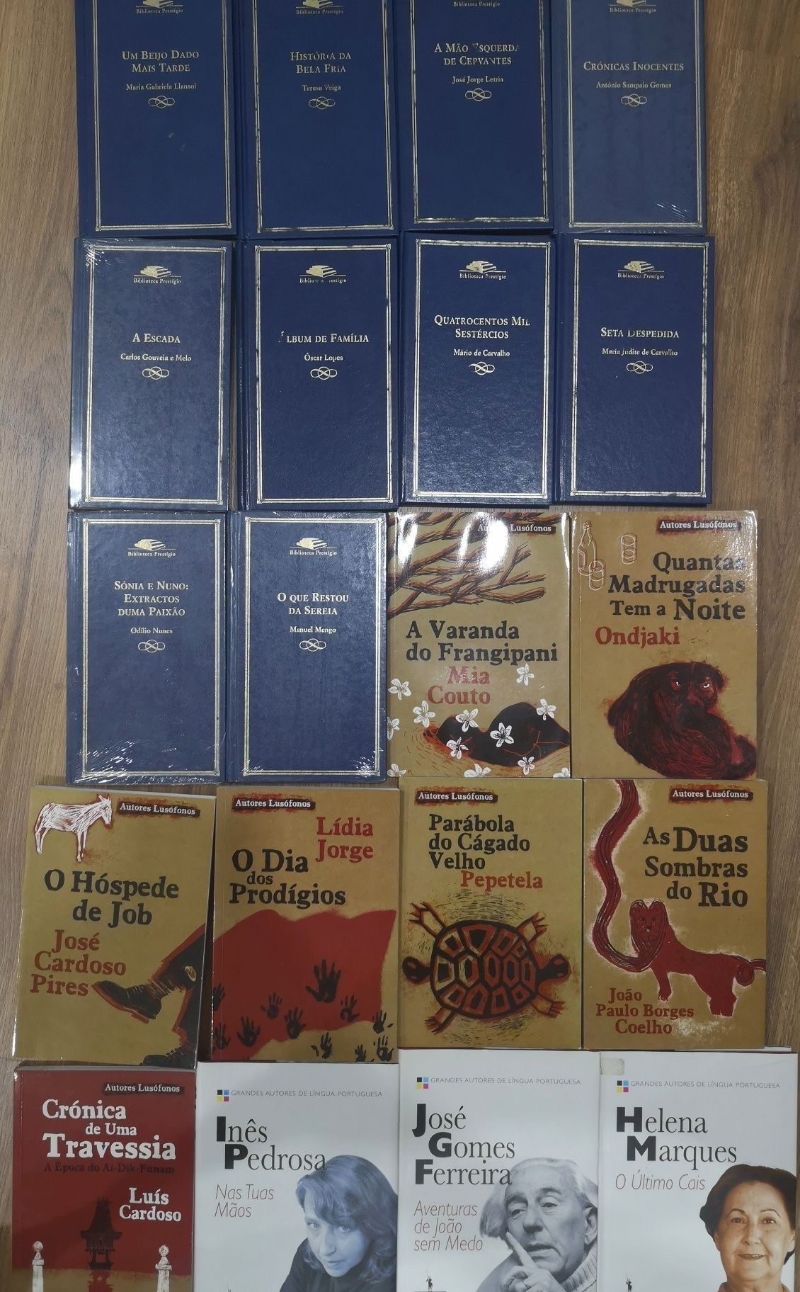 Livros Autores portugueses e lusófonos
