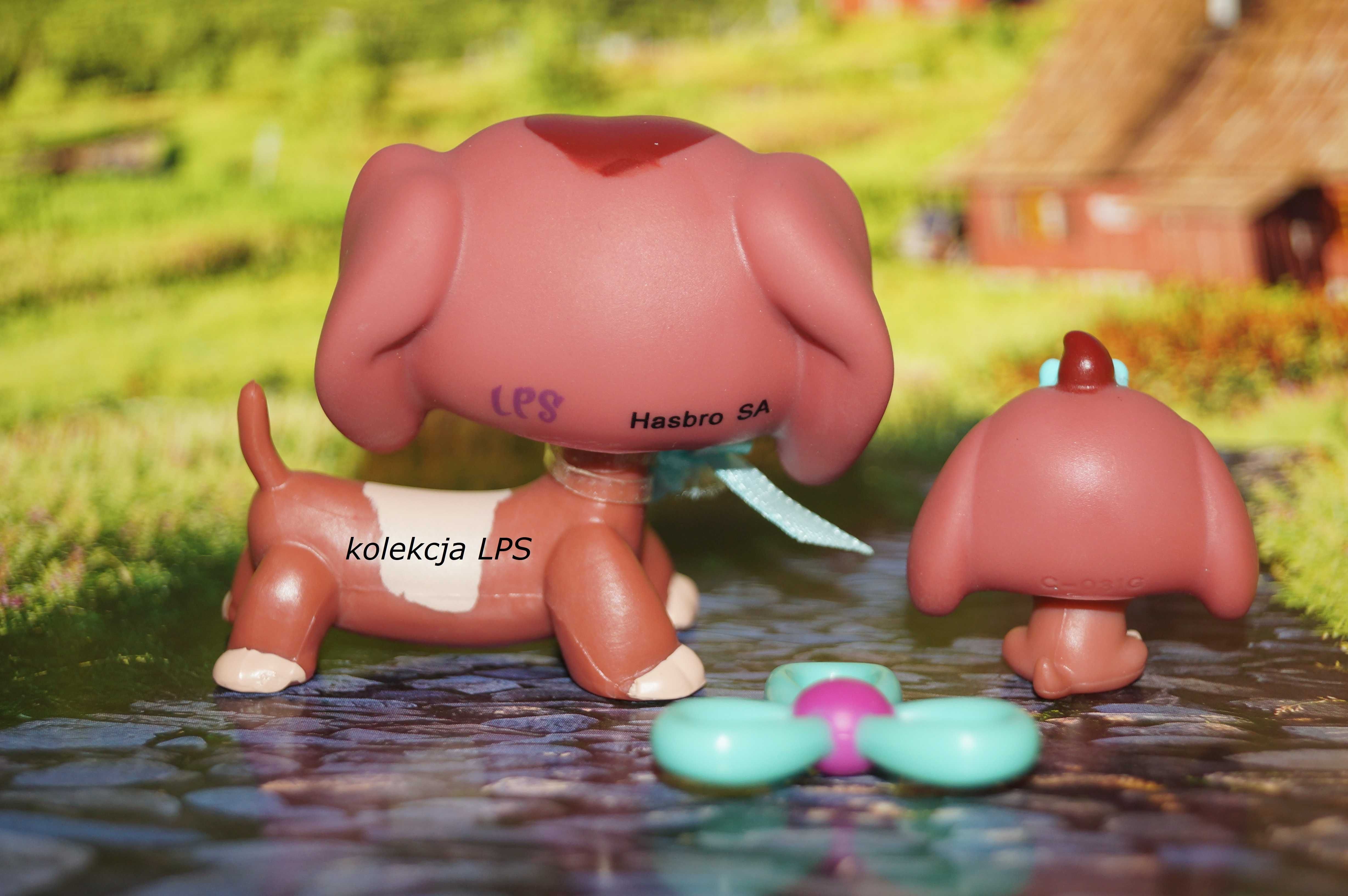 LPS Littlest Pet Shop jamnik #3601 #3602 oryginalny pop oryginał Iris