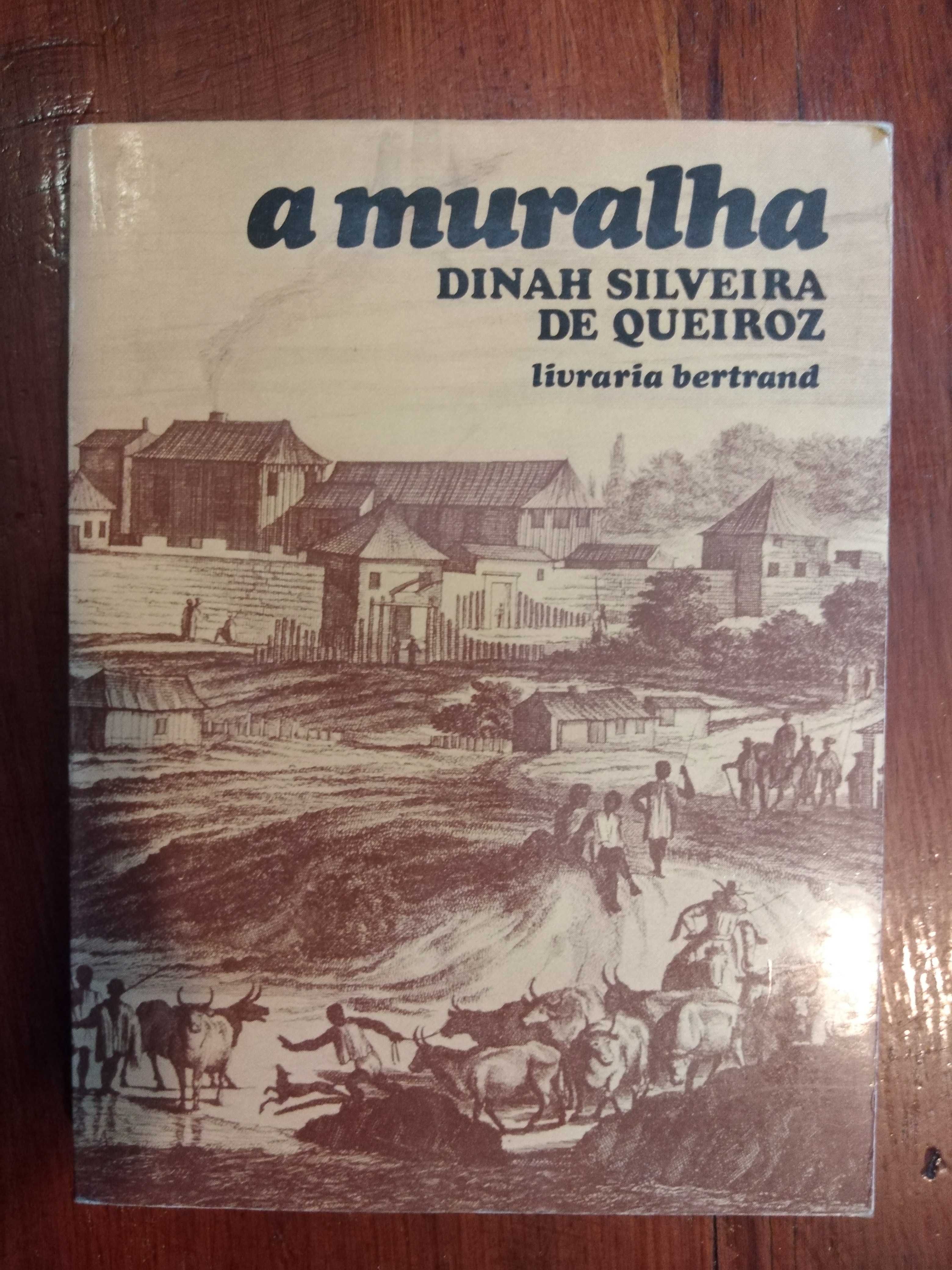 Dinah Silveira de Queiroz - A muralha