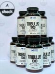 Трибулус Lions Nutrition Tribulus 1000 60caps 90% сапонина