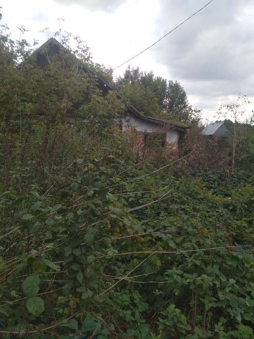 Село Саливонки Білоцерківський р-н Київська область віддам даром гній