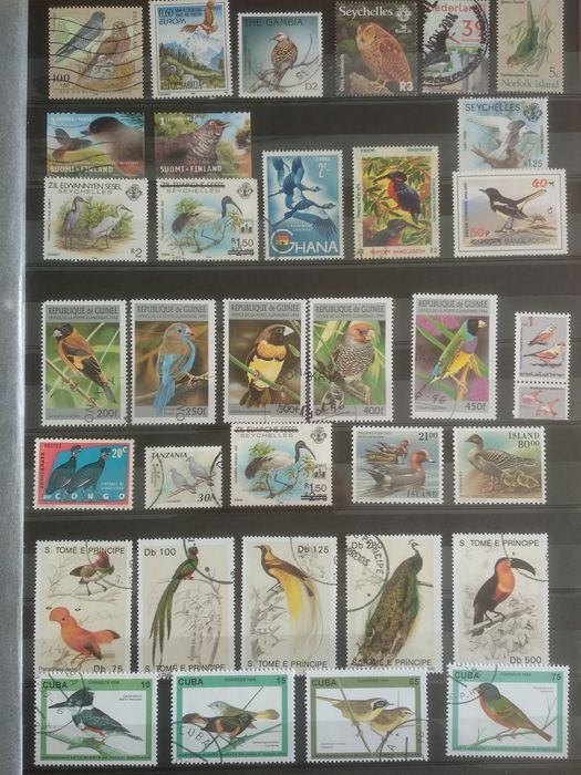 Selos temática Aves