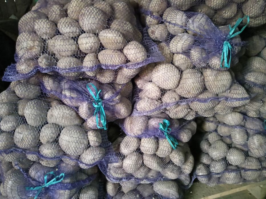 Ziemniaki Connect Worek 30 kg