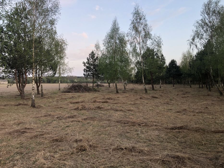 Działka rolno-zagrodowa 1ha, 30min od Warszawy, Ciepłe, możl. Zabudowy