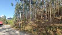 Terreno  para venda