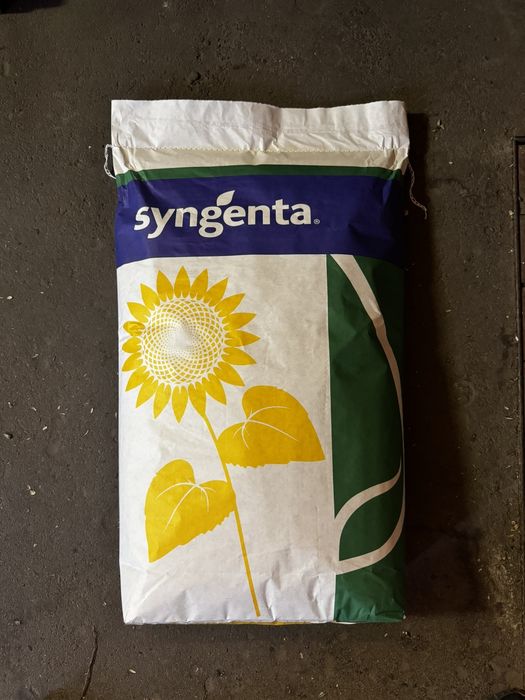 Продам насіння соняшнику Сінгента Сайберік та Піонер П64ЛЕ25