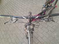 Rower kross espera 1
