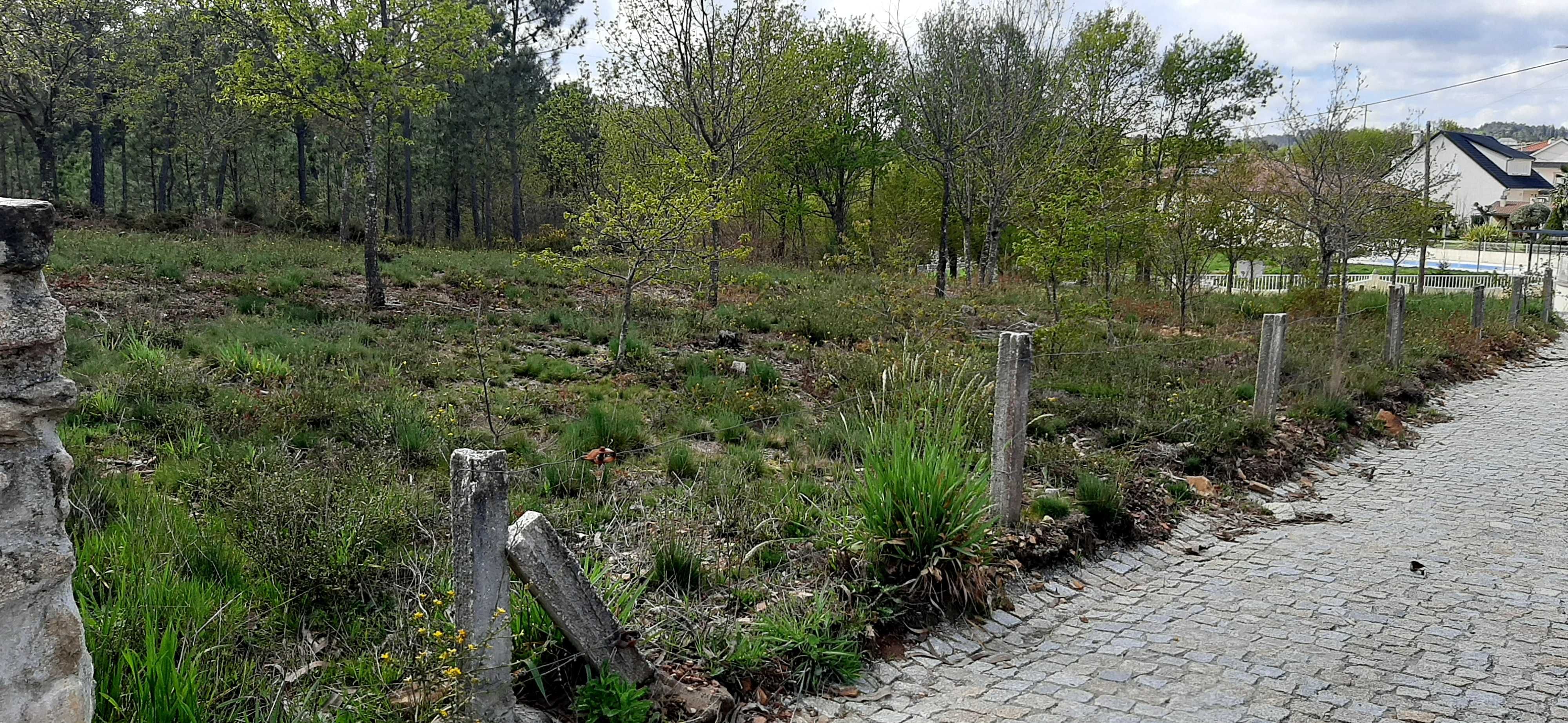Terreno construtível muito bem localizado