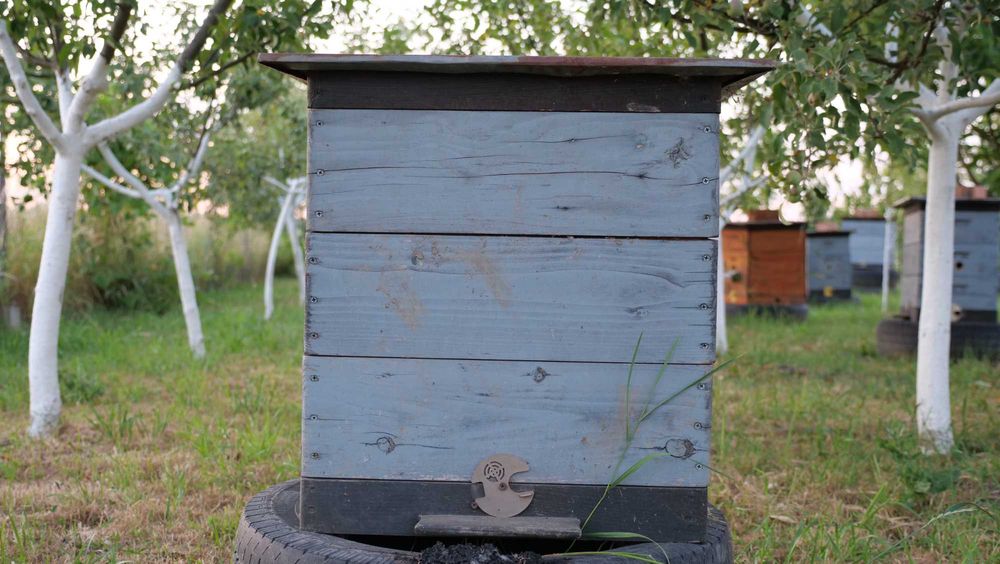 Продамо вулики Дадана (на 8 рамок) в хорошому стані