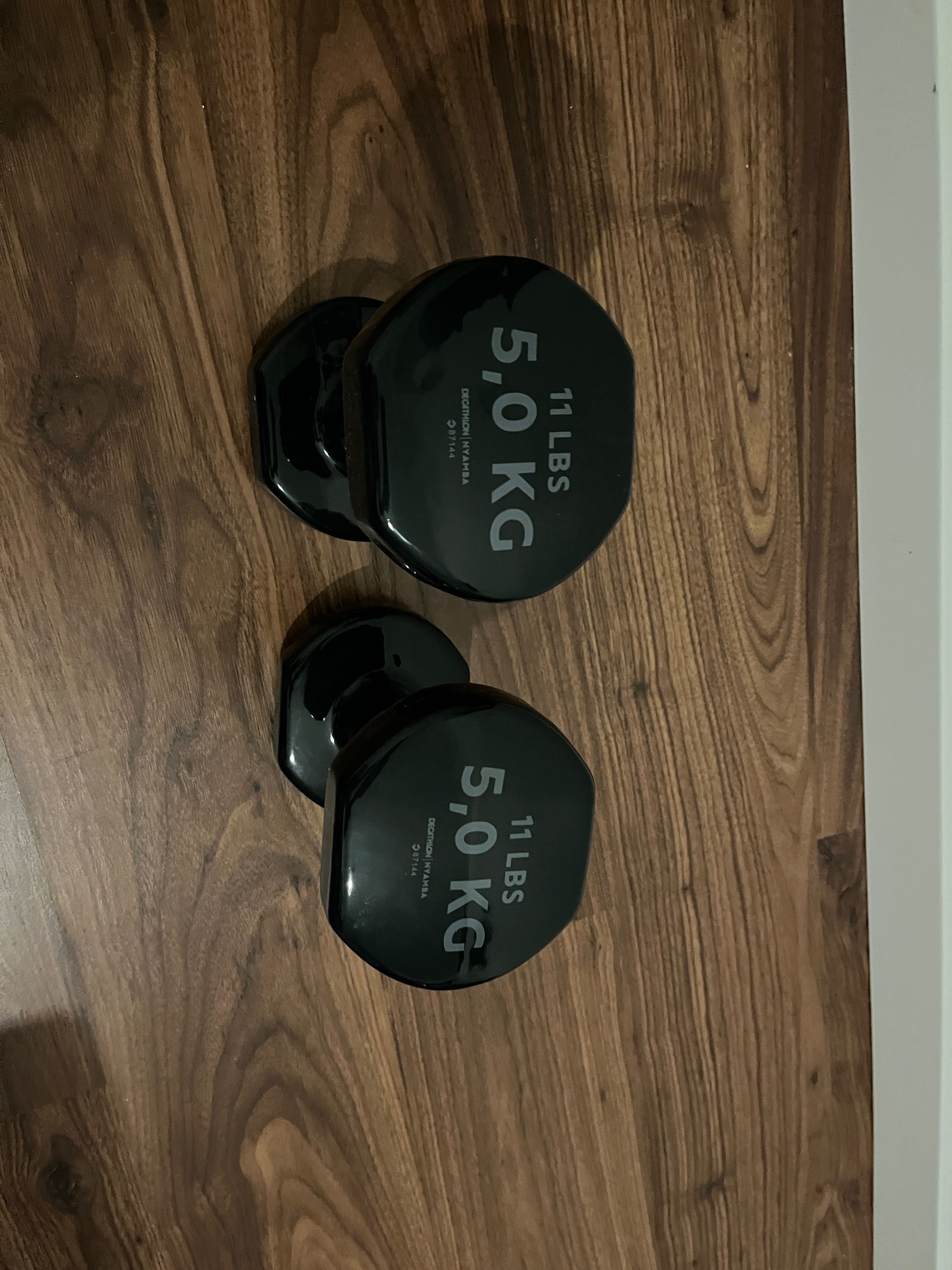 Pesos 5Kg quase novos