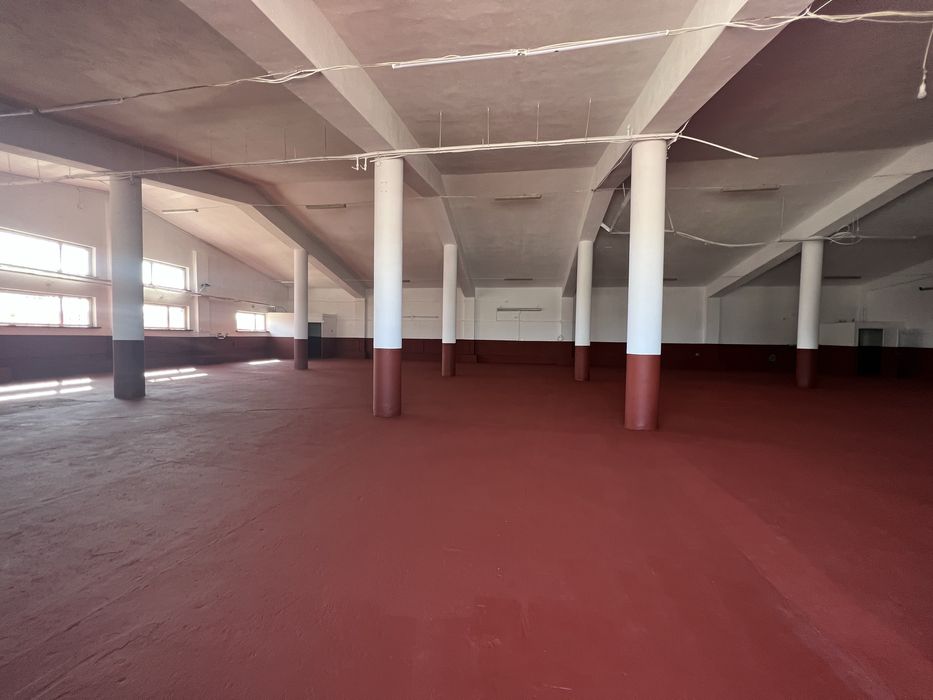 Hala, magazyn, lokal na wynajem Stare Babice bezpośrednio