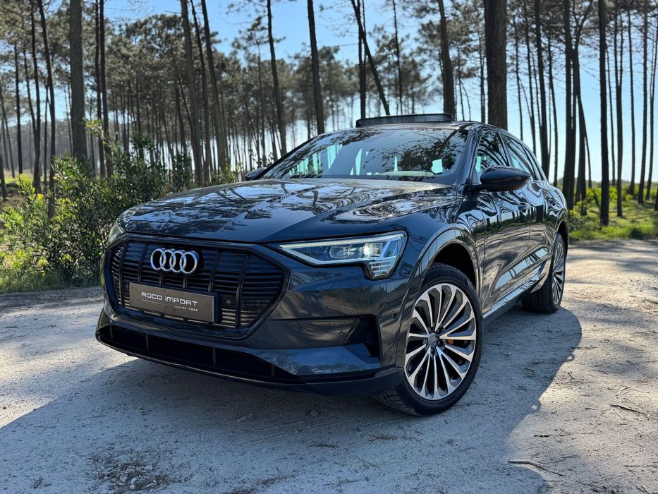 Audi e-tron 55 quattro