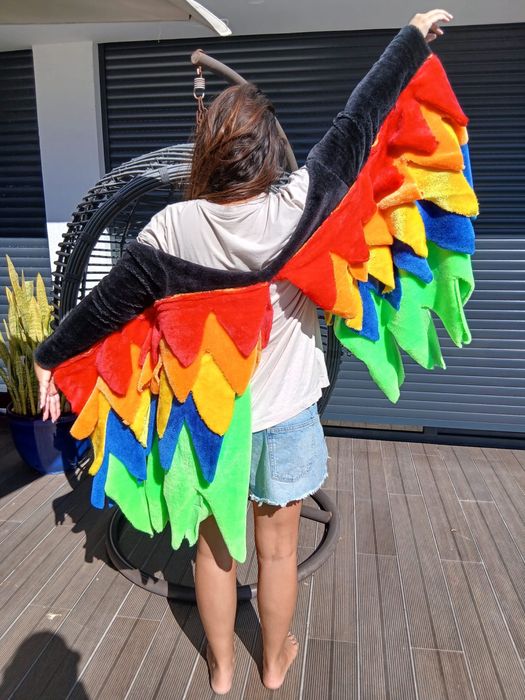 Asas de passaro - animaçao