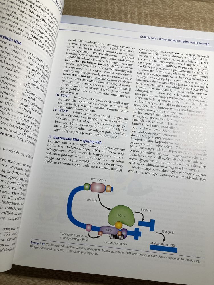 Seminaria z cytofizjologii J. Kawiak