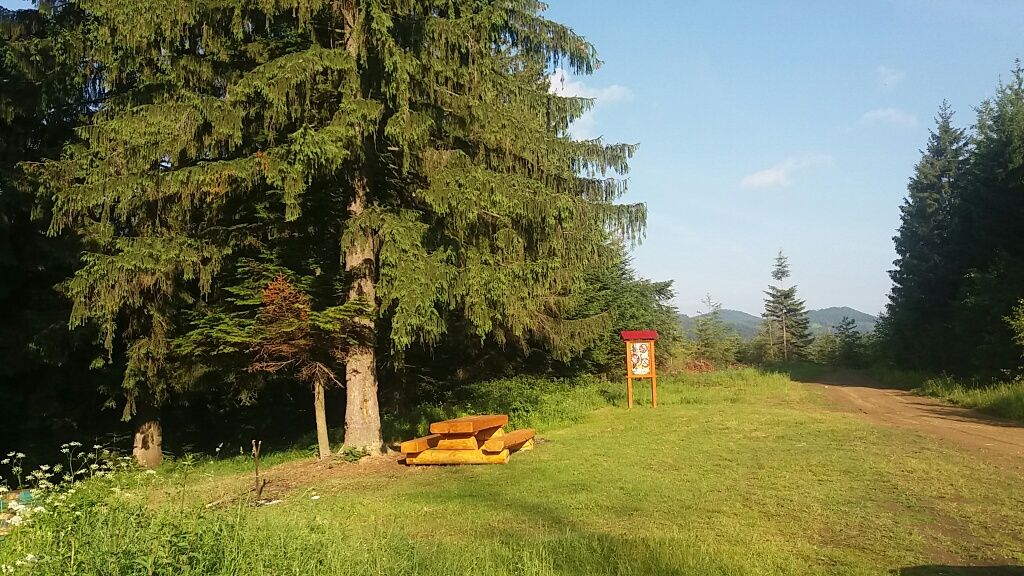 Відпочинок в Карпатах,котедж, Красноїльськ, Черн.обл..ЗНИЖКИ