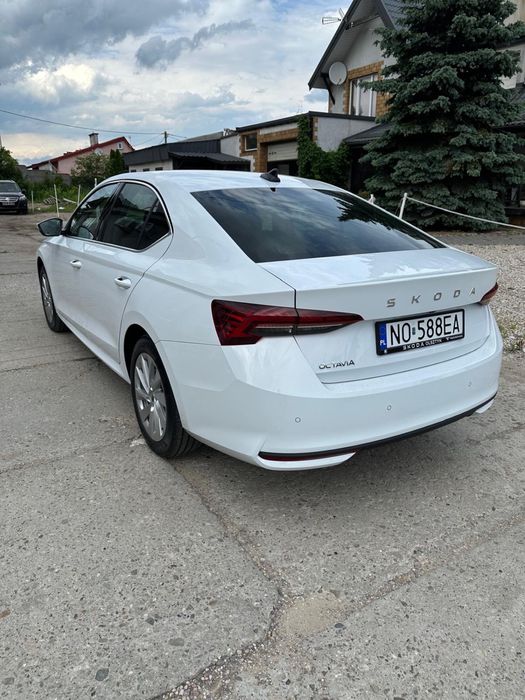 Wynajem samochodów wynajmę Skoda Octavia 2025r automat