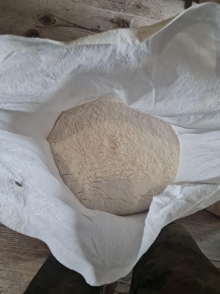 Ekologiczna mąka orkisz ostro oraz samopsza z żytem