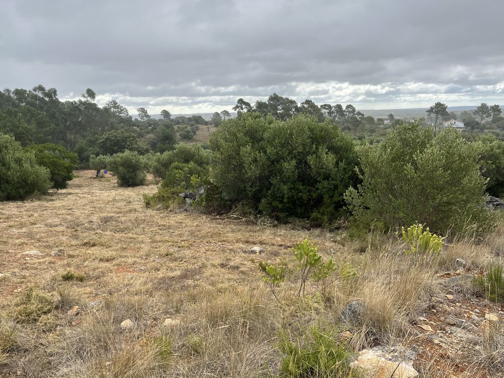 Terreno Rustico - Pedrogao - Serra de Aire e candeeiros