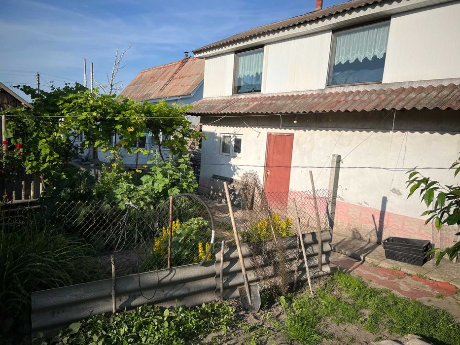 Продається будинок в селі Буки, Білоцерківського району.