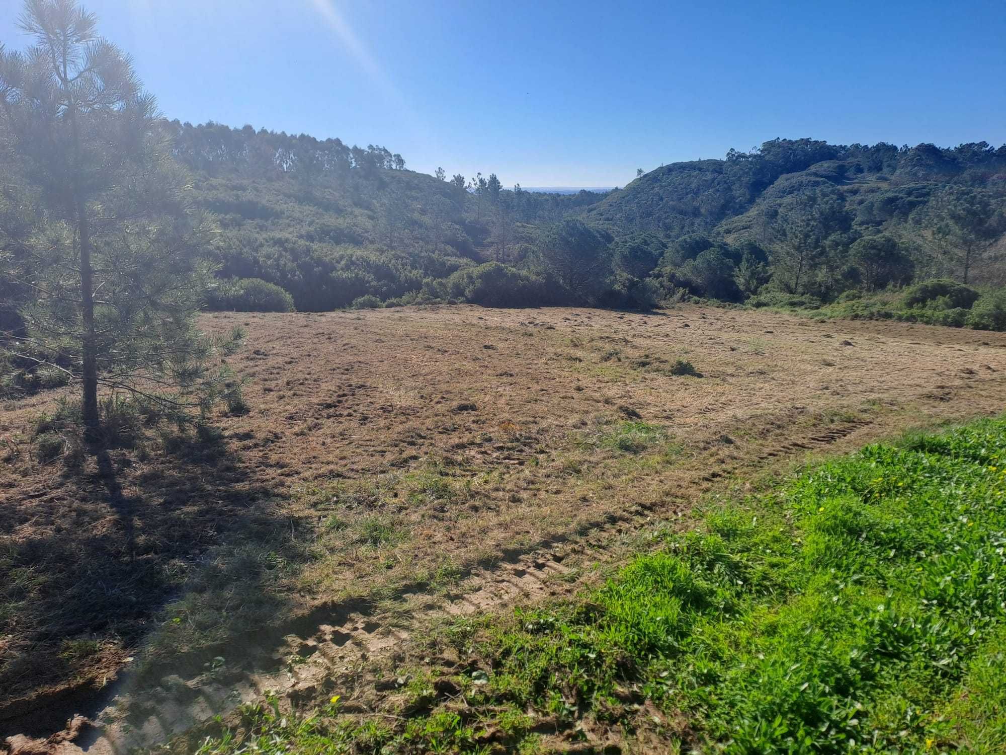 Terreno rústico em Pias Famalicão da Nazaré