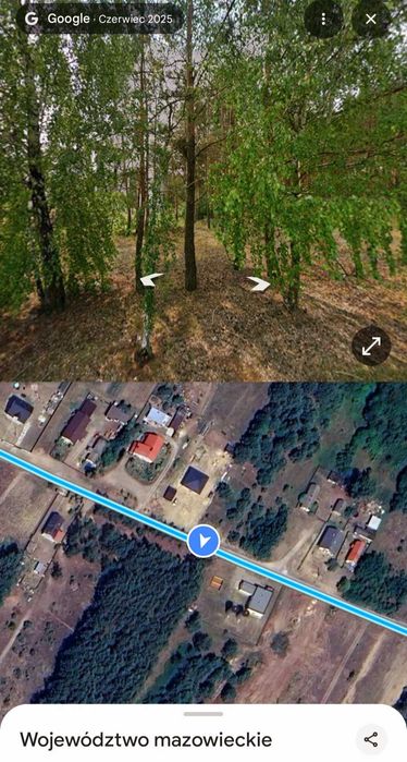 Piękna działka na sprzedaż z widokiem na młody las !