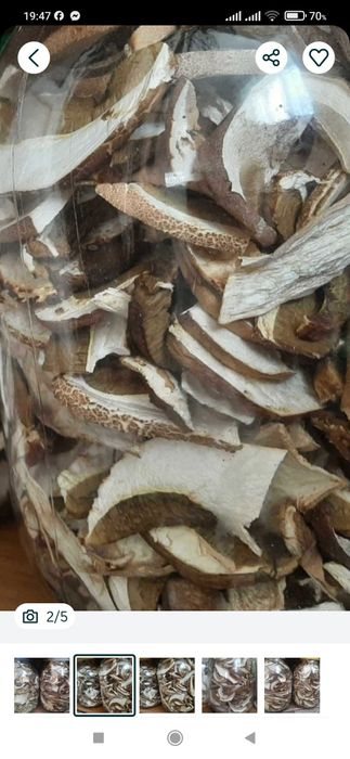 Сухий білий гриб без піску