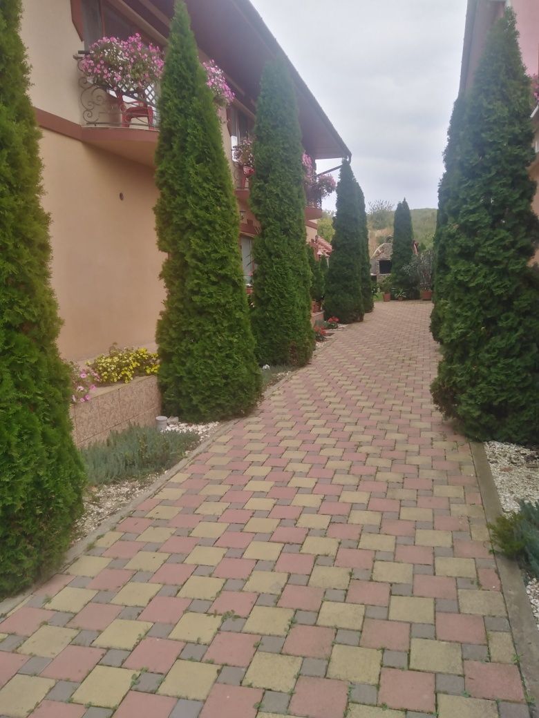 Кімнати в Косино