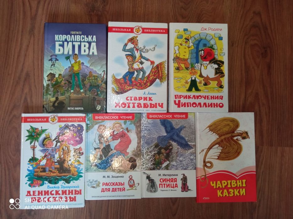 Школьная библиотека