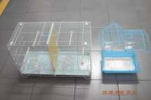Casinhas para aves