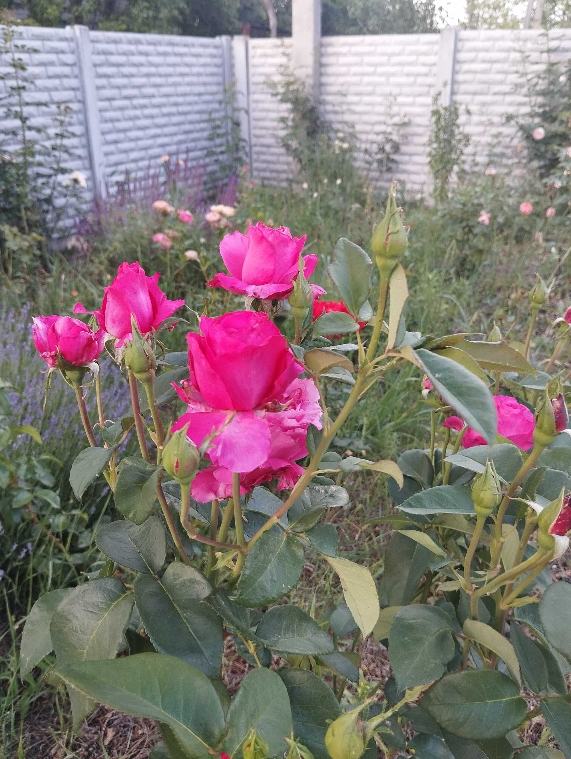 Продам   домик в Песчанке рядом с речкой.