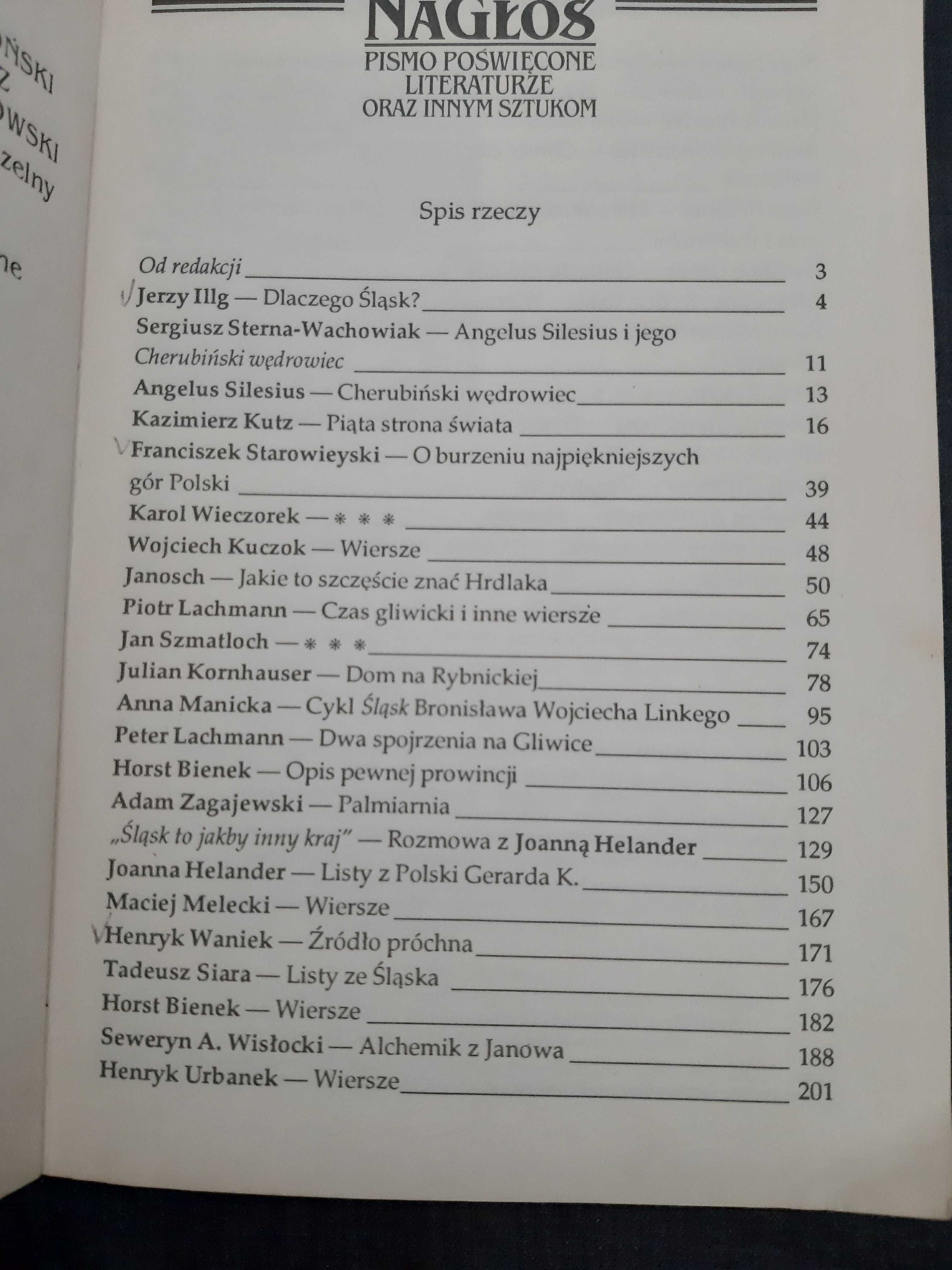 NA GŁOS pismo poświęcone literaturze oraz innym sztukom - 1994