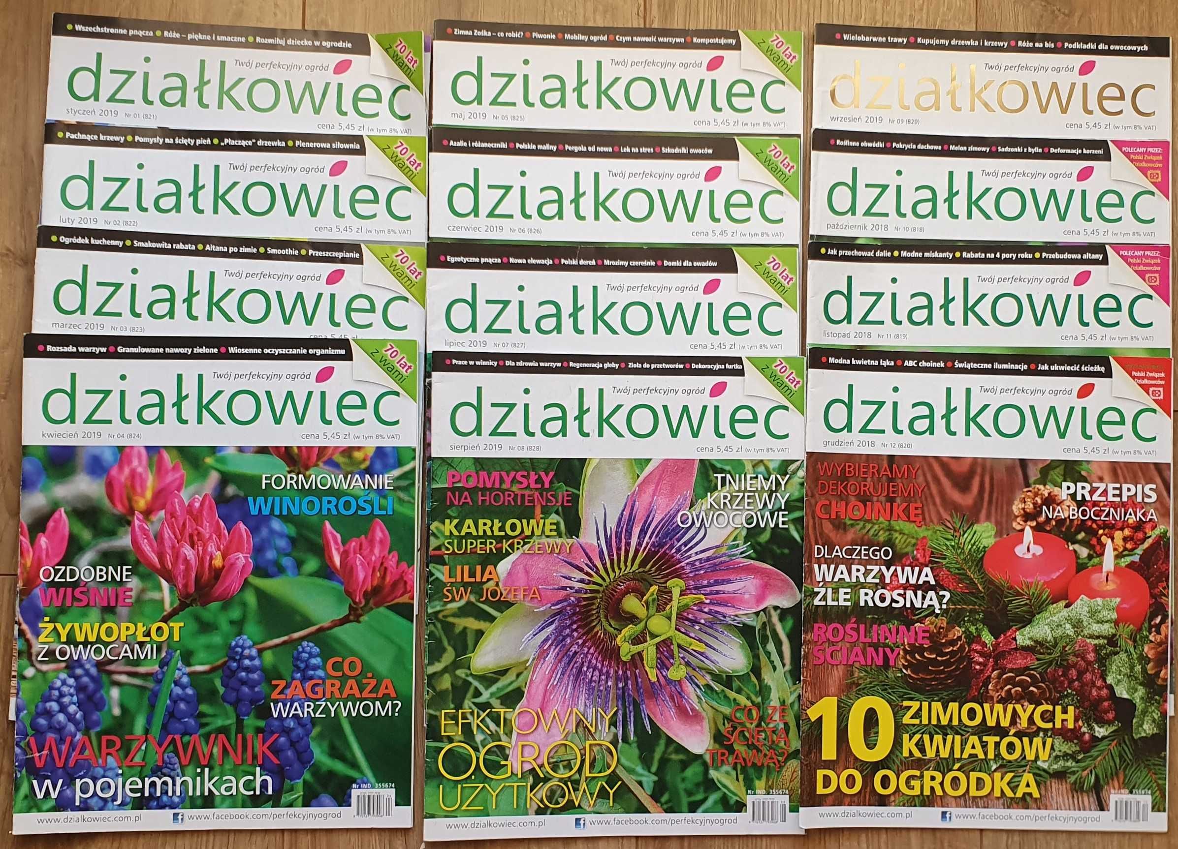 czasopismo działkowiec, 12 sztuk