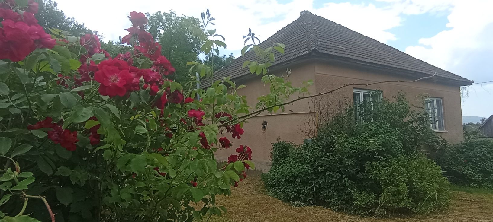 Ціну знижено! Продамо будинок на пагорбах Карпат Голубине