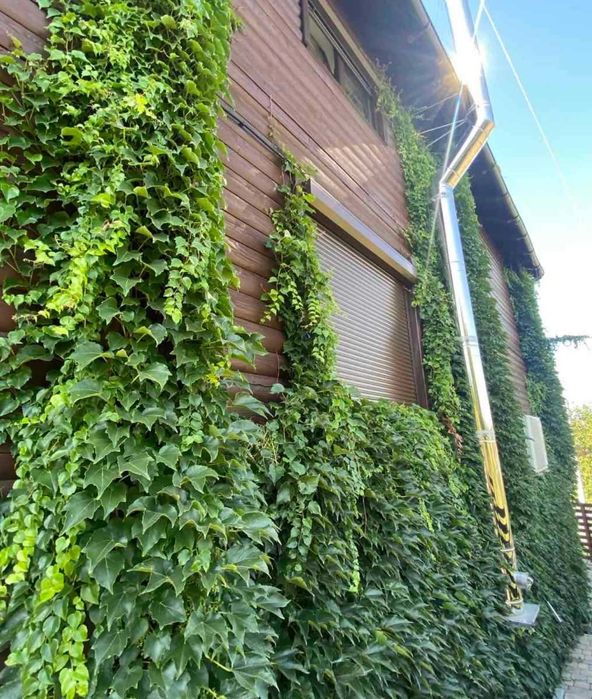 Ролети  акція ціни вас здивують.Низкие цены до31 жовтня