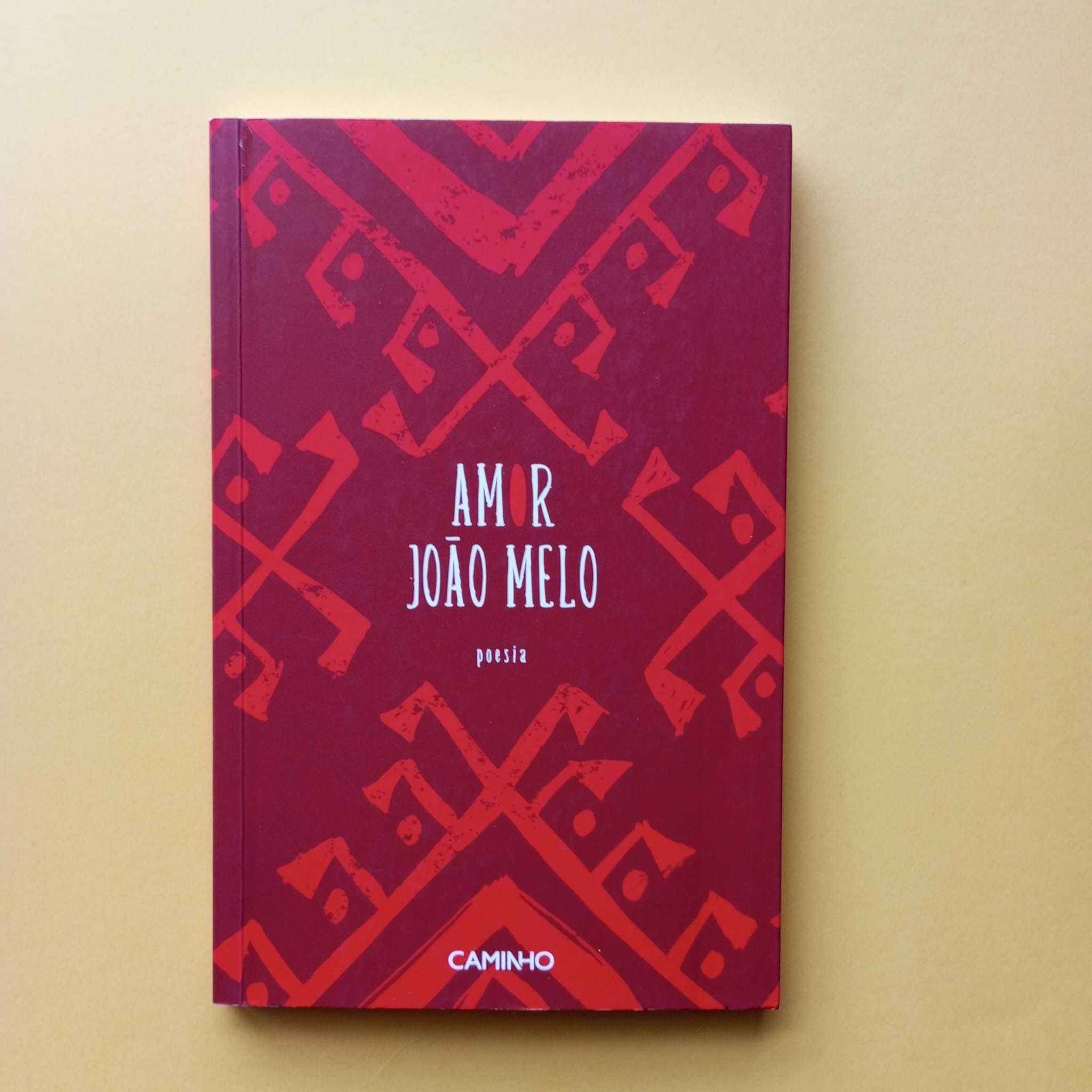 Amor - João Melo - Editorial Caminho