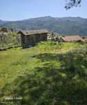 Terreno Cinfães